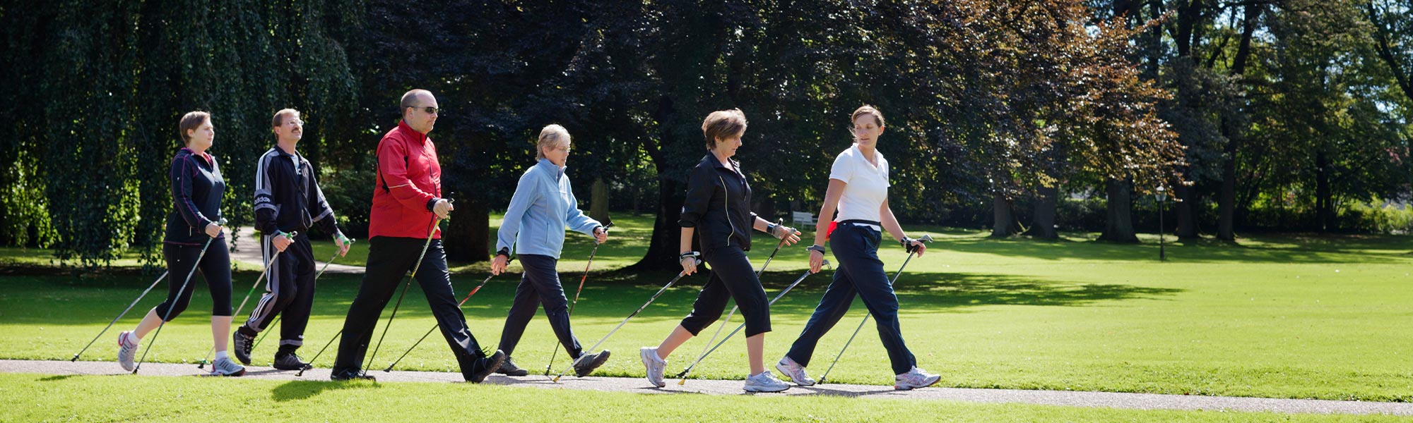 Nordic Walking im Grünen